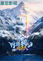 怦然新动的冬天第二季